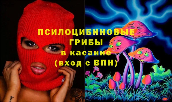 соль ск Вязьма