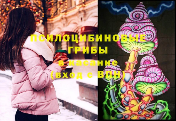 Альфа ПВП Вяземский