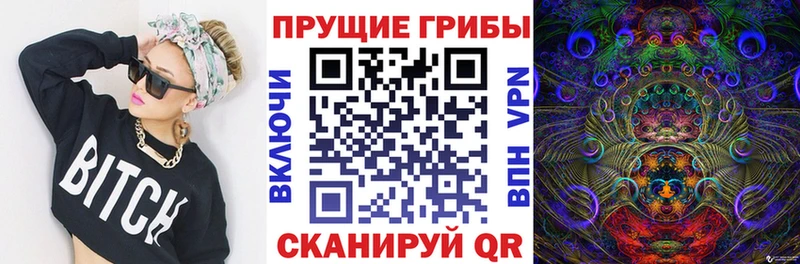 закладка  Яхрома  Галлюциногенные грибы Cubensis 